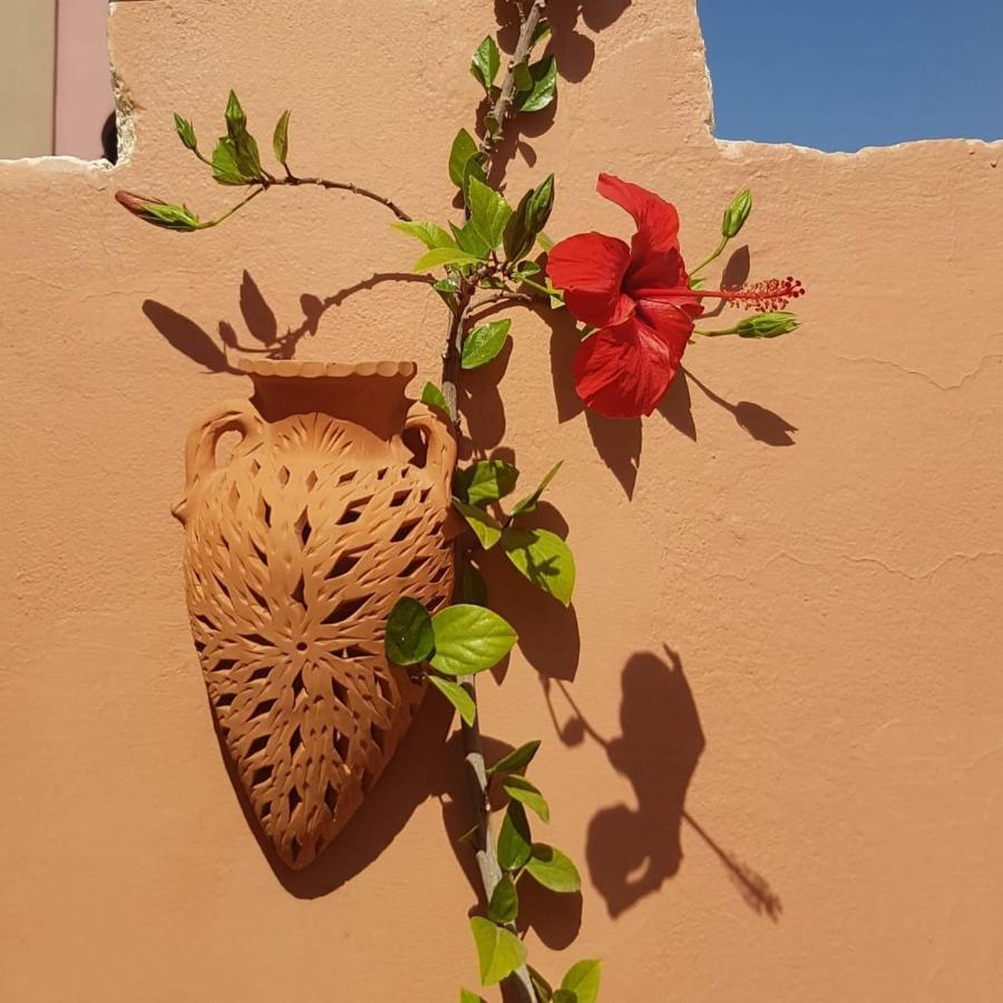 Chambres D'Hotes Les Amis Taroudant Exteriér fotografie